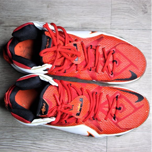 Nike LeBron 12 \'Heart of a Lion\' main image 9